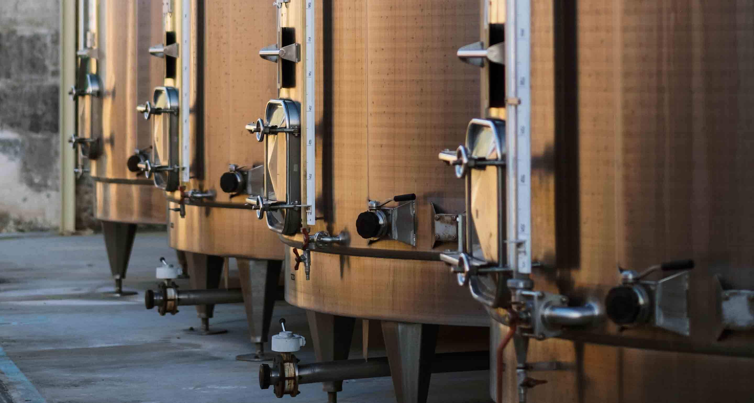 hennessy-vendanges-story-lepeu-lanscape