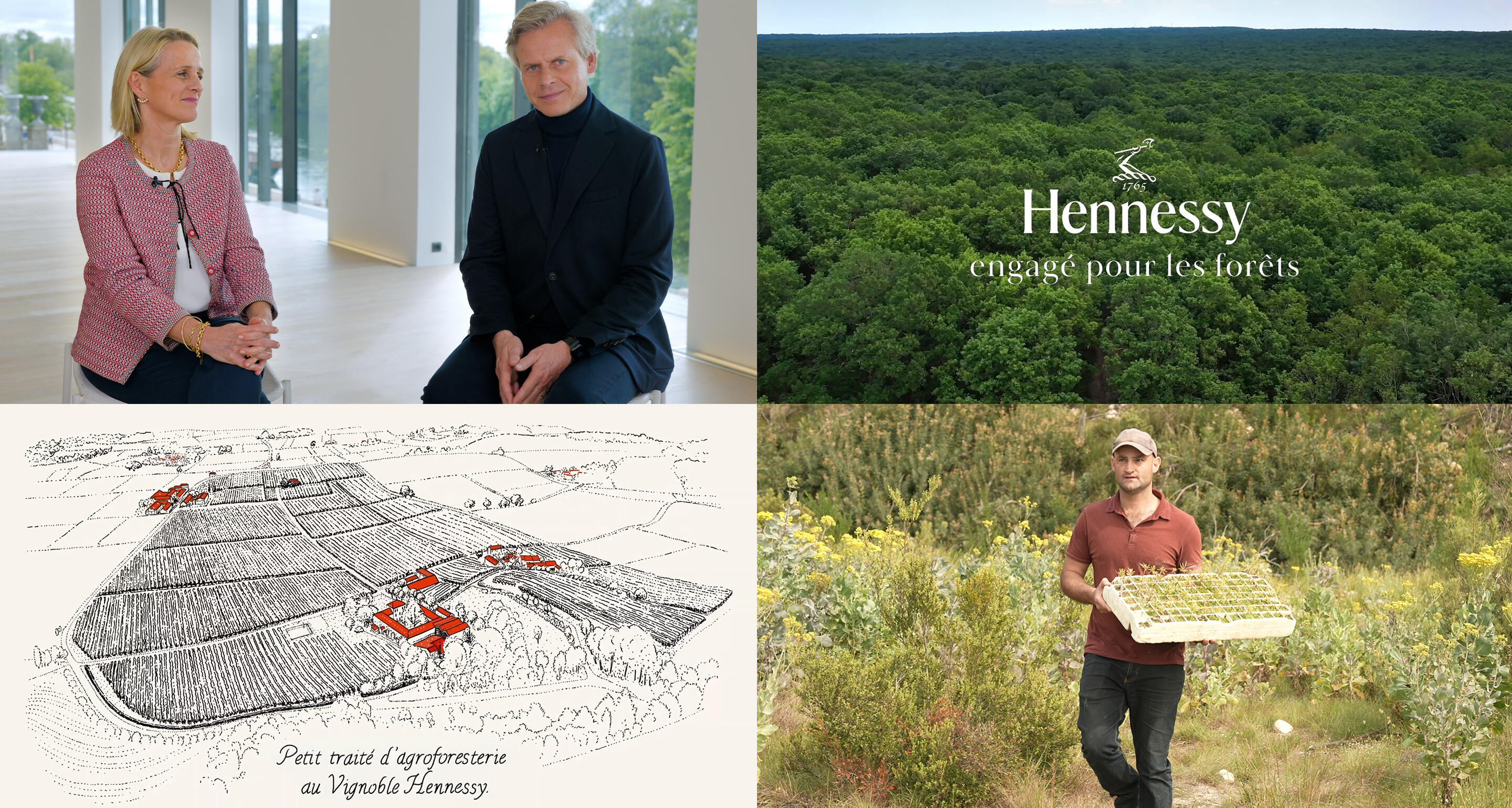 Sustainable Development Report