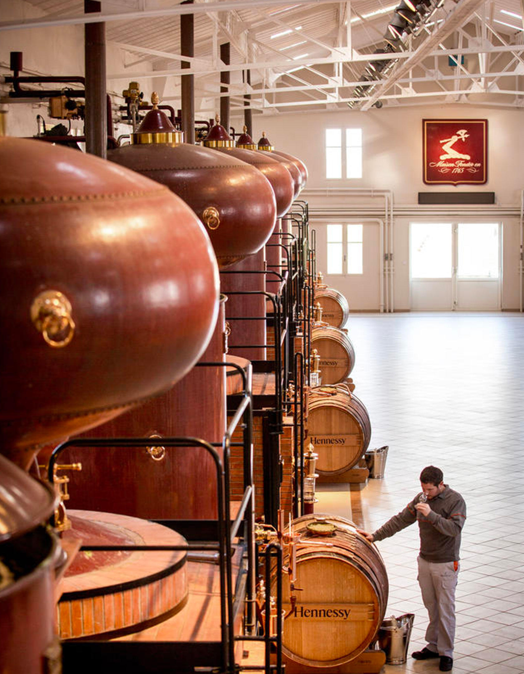 Hennessy distilation