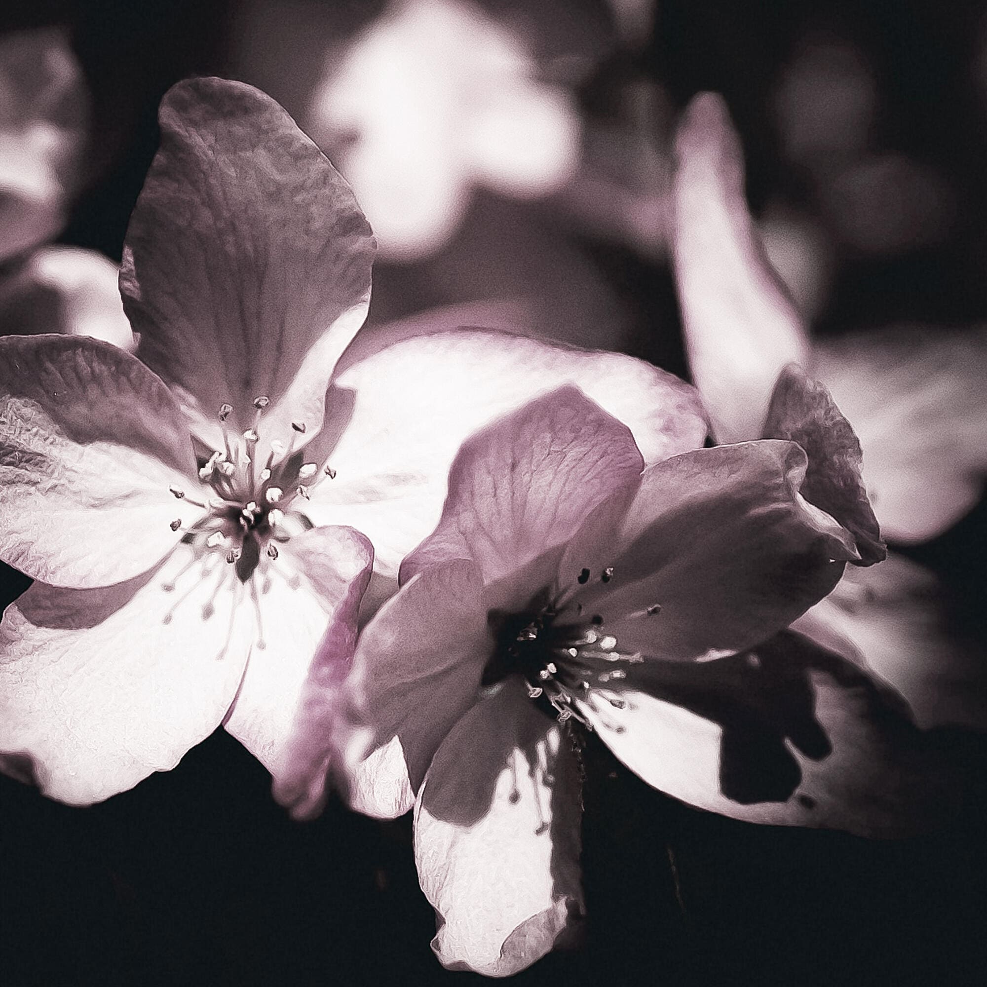 HENNESSY PARADIS IMPERIAL